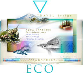Rainforest Eco Tourism Marketing and WEB Design...