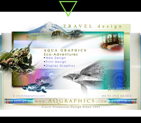 Experienced Web Designer For Eco Adventure Tourism 