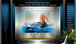 Dive Boat Charter Advertising Design 