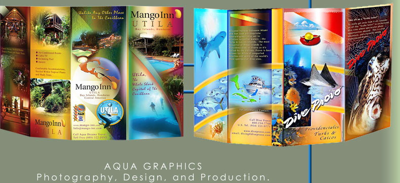 Specialized Designers for Dive Brochures & Scuba Industry Marketing Promotion..