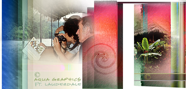  •EXPERT WEBSITE Design Resource for Rainforest Tours and Tropical Excursions• 