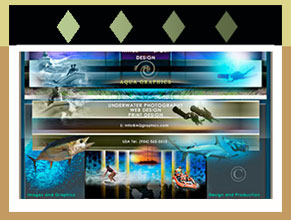  • Sport Fishing Website Designer ..Specialist • Creative Internet Marketing Promotion • Photography - Design - Printing: Sport Fishing BROCHURES and WEBSITE Production. 