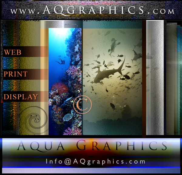 Wall Diving Photographs and Web Design Services 