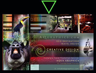 Creative Designer for Tropical Rainforest Tours Website 