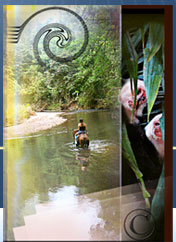 Web Design Services for Nature-Adventure Travel Marketing ..Naturalist-Eco Travel Brochure Design and Printing. 