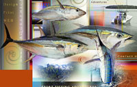 Creative Website Designers for Fishing Charter Marketing Promotion ..