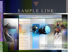 •Underwater Photography and Design  •Aquatic Art Project.. •Web Design For Underwater Adventures Travel-Marketing.