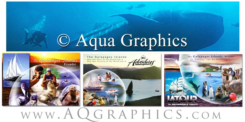 Underwater Design for Websites and Print. 