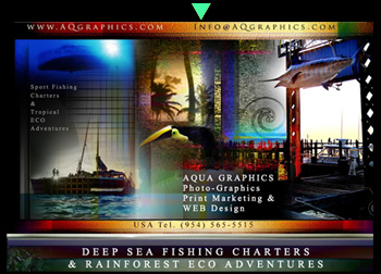 WEB Design for Fishing Charter Operation