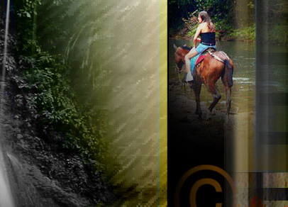 Outdoor Nature Adventure & Eco Travel WEB..Graphic Design Services. 