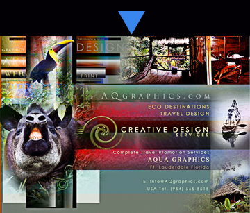 WEB Designers For Rainforest Adventure Travel 