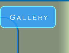 Scuba Travel Design ..Aquatic Photography & Underwater Adventure Design Gallery.. Website Designer Services Experienced with Scuba Diving 