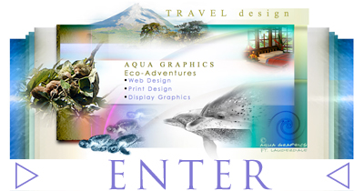 Web Designers For Creative Eco  Travel 
