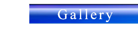 Need Creative Designer For.. Green Ecology Designs.. Travel-Tourism  