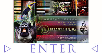 Creative Web Designers For Rainforest Travel Tours 