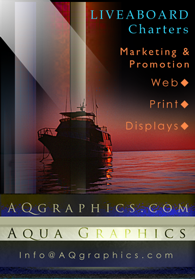 Specializing in Liveaboard Scuba Diving .. Website Design 