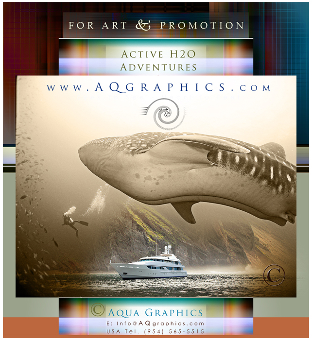 Liveaboard Diving Web Design Services 