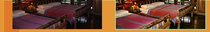 Leisure Travel Tourism and WEB Design-Internet Booking. 