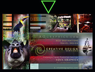Creative Designer for Tropical Rainforest Tours Website