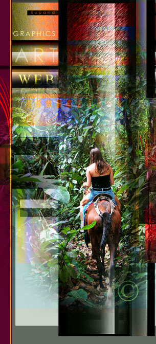 Special Markets Travel Destination Promo Design.. WEB Marketing and PRINT Advertising. 