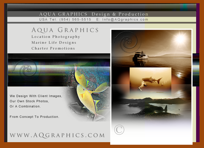 Charter Marketing Services