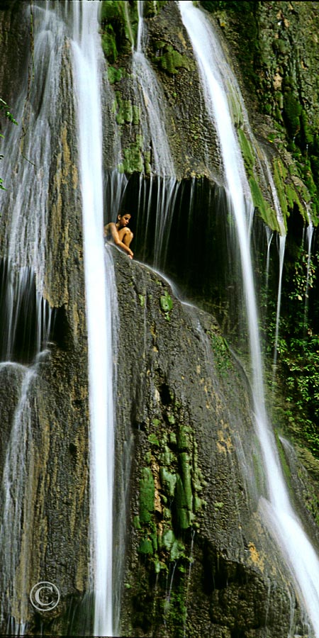 Tropical Adventure Travel Website Designer Services 