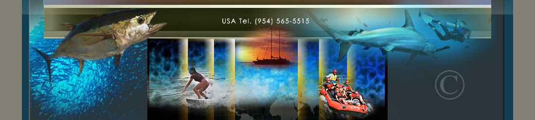 Dive Industry.. Adventure Water Sport Design ..Aquatic Products WEB Design.