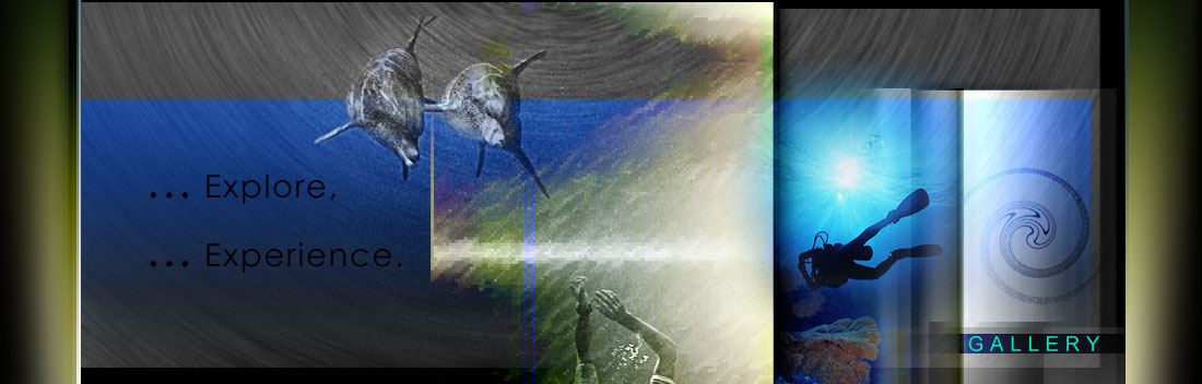 Professional SCUBA - Dive Travel WEB Design..Eco Travel WEB Sites..Adventure Travel WEB Graphics.
