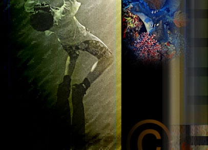 Aqua Graphics WEB Art-Web Design Adventure Travel Marketing. 